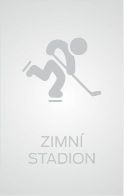 Zimn stadion